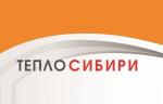 Техническую конференцию «Тепло Сибири-2021» проведут в онлайн-формате