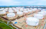 На нефтепроводе Саратов – Кузьмичи построят камеру приема средств очистки и диагностики