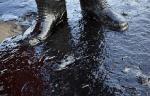 Разлив нефтепродуктов в Тарко-Сале ликвидирует специализированная организация