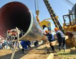 Президент Сербии заявил, что поставки российского газа необходимо увеличить