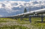 АО «Транснефть – Сибирь» провело полное обследование 786 метров технологических трубопроводов на девяти нефтеперекачивающих станциях 