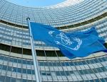Развитие реакторов на быстрых нейтронах обсудили в МАГАТЭ